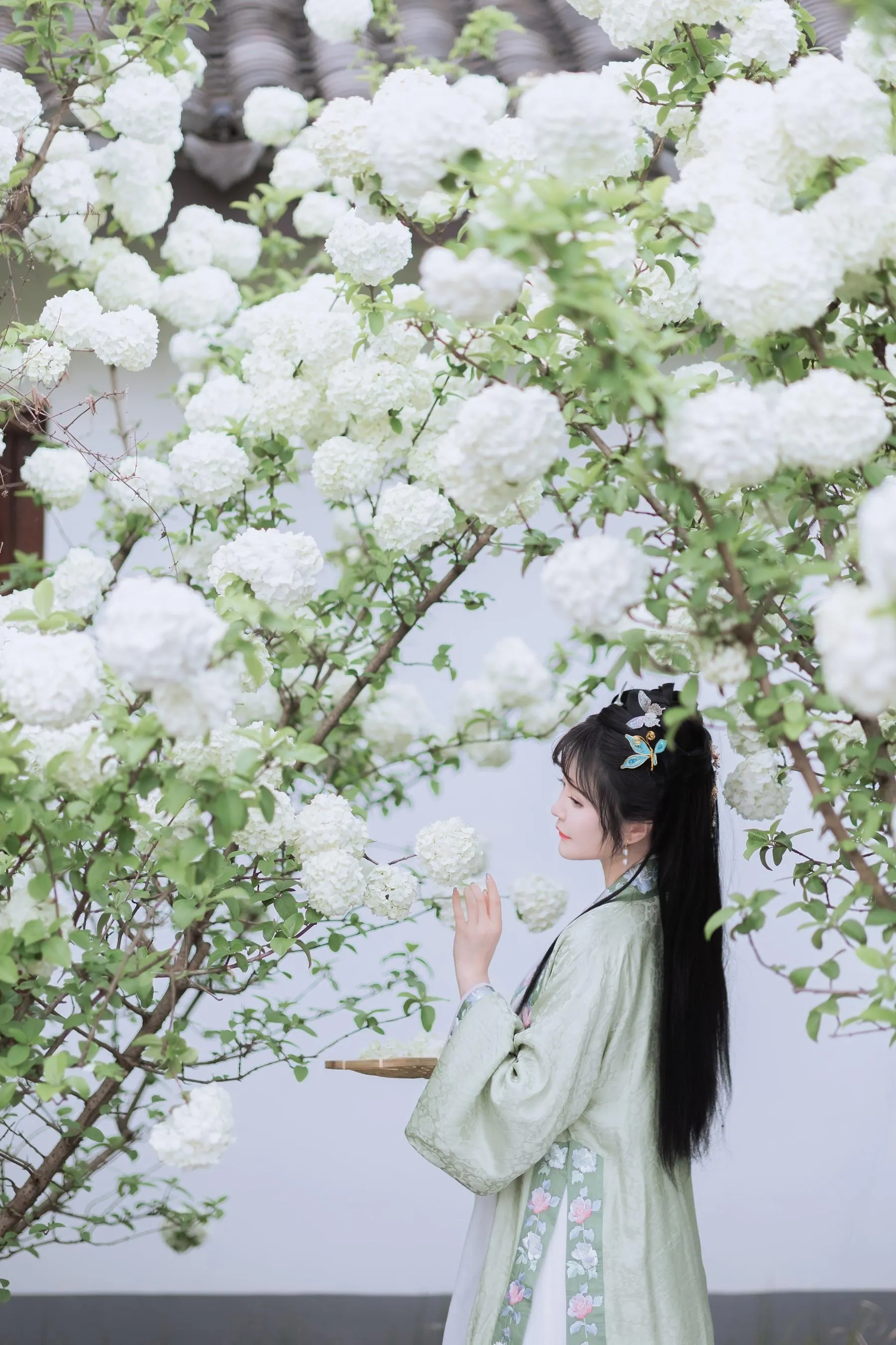 [艺图语] 2022.06.09 探春 璐璐haley [42P]插图2
